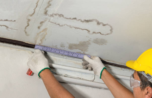 Reliable Water Damage Repair contractor in Mammoth, WV by Hirex Water Damage